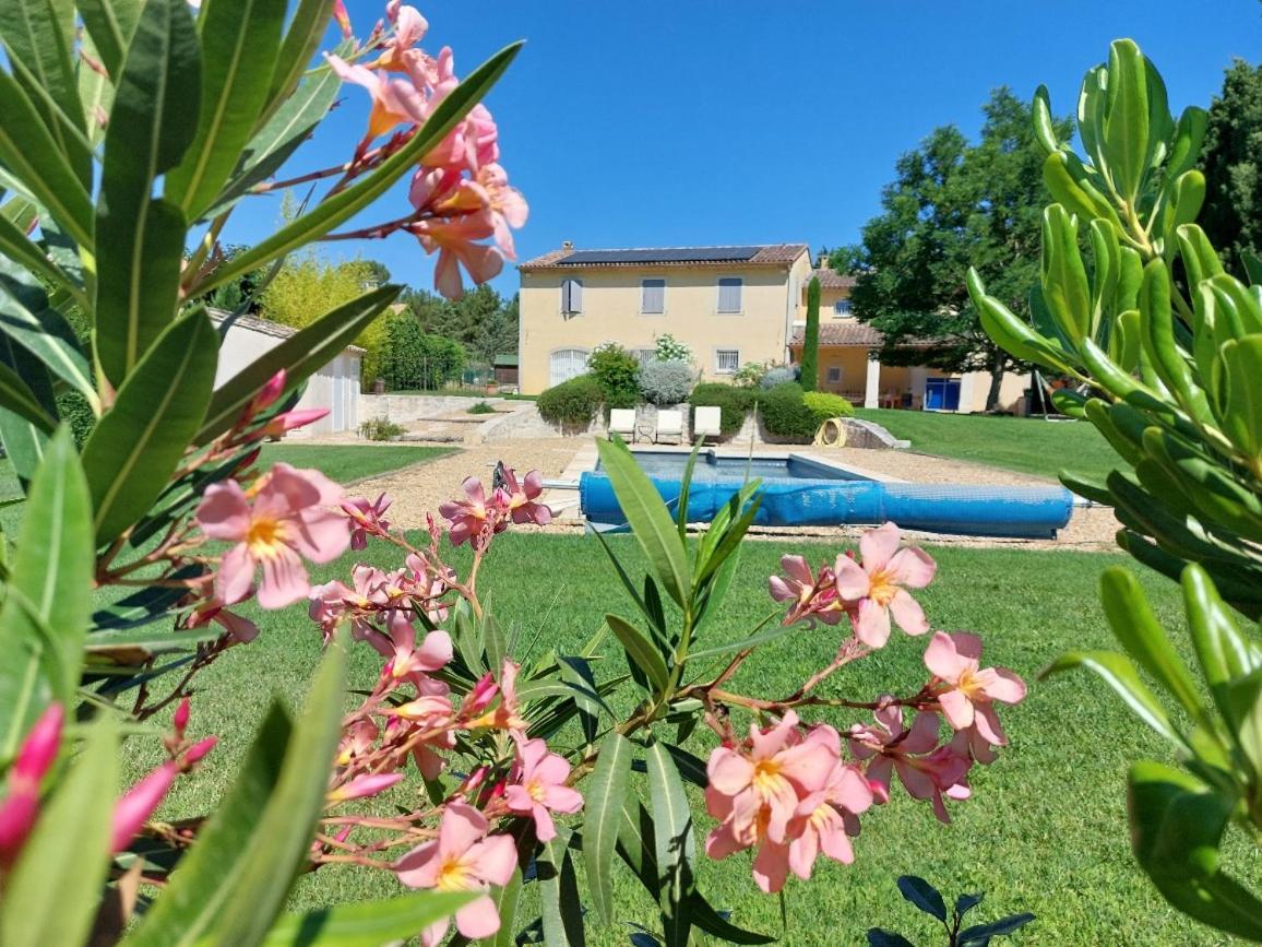 En Provence, Chez Stephanie Et Marcel Saint-Rémy-de-Provence Exterior foto